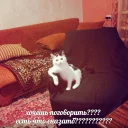 Sticker from @visualph - Подпишись!