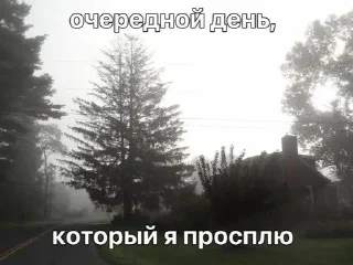 Sticker from Просто щп