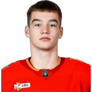 🌟 emoji Автомобилист | сезон 25/26 Telegram sticker 21 of 37