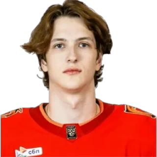 🌟 emoji Автомобилист | сезон 25/26 Telegram sticker 13 of 37