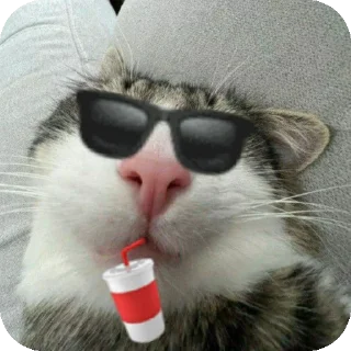 Sticker from Dark