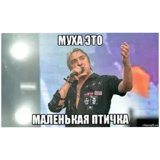 😄 emoji Король и шут Telegram sticker 18 of 28