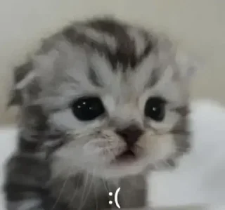 😭 emoji Да Telegram sticker 6 of 37