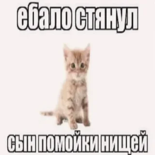 😊 emoji Да Telegram sticker 5 of 37