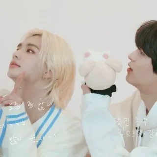 Sticker from jinnie&minnie |@skzstickersss