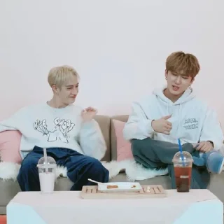 Sticker from channie&binnie |@skzstickersss