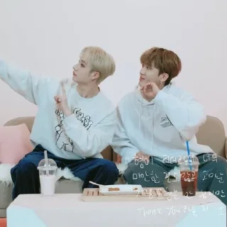 Sticker from channie&binnie |@skzstickersss