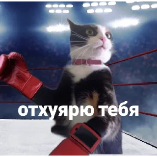 Sticker from Алиса