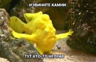Sticker from завали ебальник