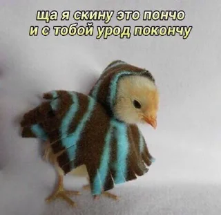 Sticker from завали ебальник