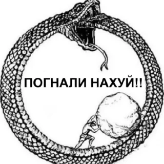💍 emoji Пикчес @korolpupsikov @Popandopulus2008 Telegram sticker 5 of 75