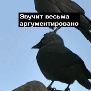 Sticker from завали ебальник