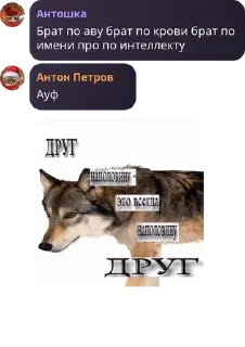 Sticker from 👉Террария чат👈 pack by @QuotLyBot