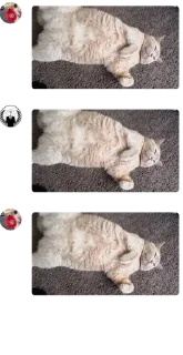 ⛹️‍♀️ emoji 👉Террария чат👈 pack by @QuotLyBot Telegram sticker 17 of 116