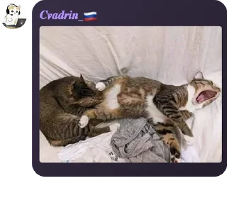 👰‍♂️ emoji 👉Террария чат👈 pack by @QuotLyBot Telegram sticker 20 of 117
