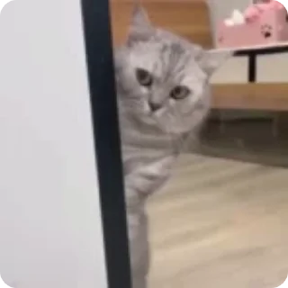 Котики || @Alyona_Ferfetsckaya sticker 2