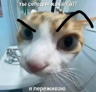 🤨 emoji камень я не дам 1.7 Telegram sticker 18 of 120