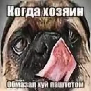 🤩 emoji Залупа бобра Telegram sticker 23 of 120