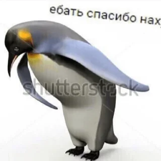 Sticker from залупа