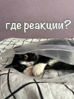 😘 emoji агро элисочек ➡️ @Ctikerubot Telegram sticker 22 of 43