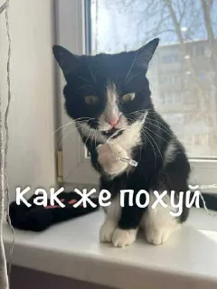 ❤️ emoji агро элисочек ➡️ @Ctikerubot Telegram sticker 23 of 43