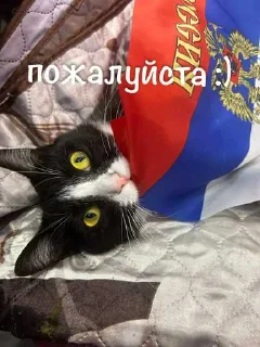 🙈 emoji агро элисочек ➡️ @Ctikerubot Telegram sticker 20 of 43