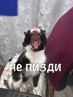 😘 emoji агро элисочек ➡️ @Ctikerubot Telegram sticker 16 of 43