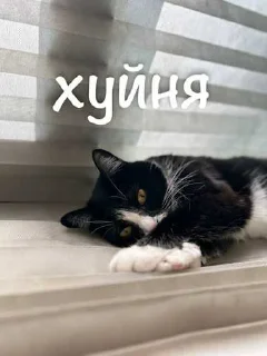 Sticker from агро элисочек ➡️ @Ctikerubot