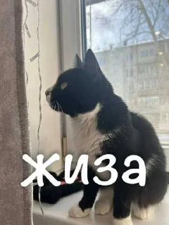 😁 emoji агро элисочек ➡️ @Ctikerubot Telegram sticker 18 of 43
