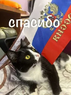 😍 emoji агро элисочек ➡️ @Ctikerubot Telegram sticker 19 of 43