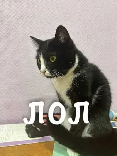 ❤️ emoji агро элисочек ➡️ @Ctikerubot Telegram sticker 8 of 43