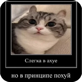 🥱 emoji Leon Telegram sticker 20 of 22