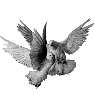 🐦 emoji {❦𝓙 𝓖𝓸𝓽𝓱𝓲𝓬 𝓯𝓻𝓸𝓶 @Death_To_Nonetity❦} Telegram sticker 10 of 50