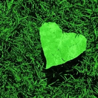 Sticker from My heart for you 💚
