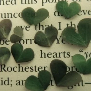 Sticker from My heart for you 💚