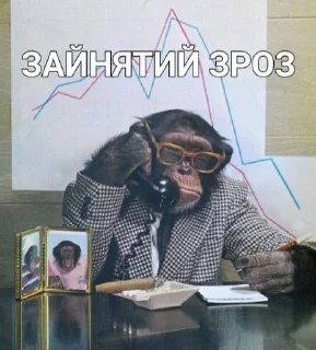 Sticker from Monkey