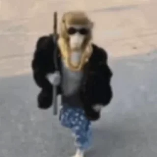 🏳‍🌈 emoji бібізяни Telegram sticker 12 of 52