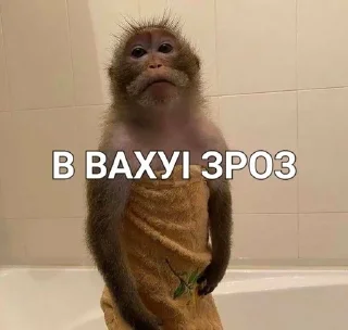 Sticker from Monkey