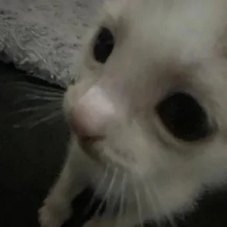 😕 emoji iff Telegram sticker 8 of 27