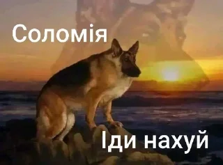 🙂 emoji Та пішли ви всі н@#√й Telegram sticker 21 of 53