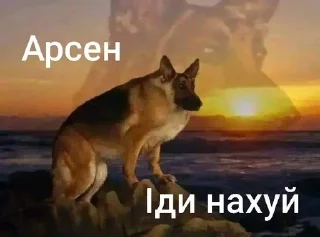 🙂 emoji Та пішли ви всі н@#√й Telegram sticker 22 of 53
