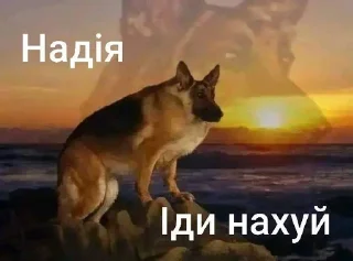 🙂 emoji Та пішли ви всі н@#√й Telegram sticker 15 of 53