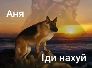 🙂 emoji Та пішли ви всі н@#√й Telegram sticker 23 of 53