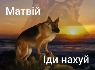 🙂 emoji Та пішли ви всі н@#√й Telegram sticker 13 of 53