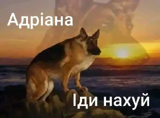 🙂 emoji Та пішли ви всі н@#√й Telegram sticker 11 of 53