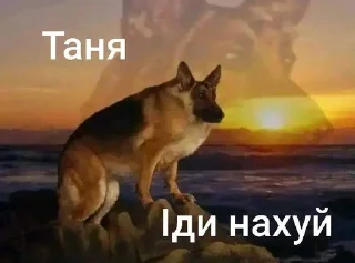 🙂 emoji Та пішли ви всі н@#√й Telegram sticker 16 of 53