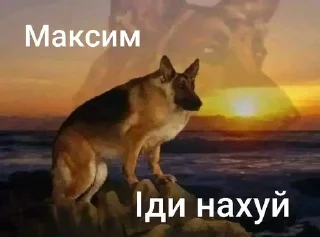 🙂 emoji Та пішли ви всі н@#√й Telegram sticker 1 of 53