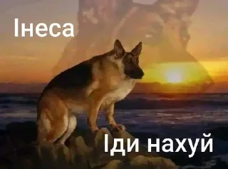 🌟 emoji Та пішли ви всі н@#√й Telegram sticker 9 of 53