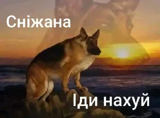 🙂 emoji Та пішли ви всі н@#√й Telegram sticker 12 of 53