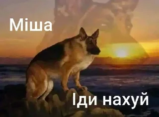 🙂 emoji Та пішли ви всі н@#√й Telegram sticker 20 of 53